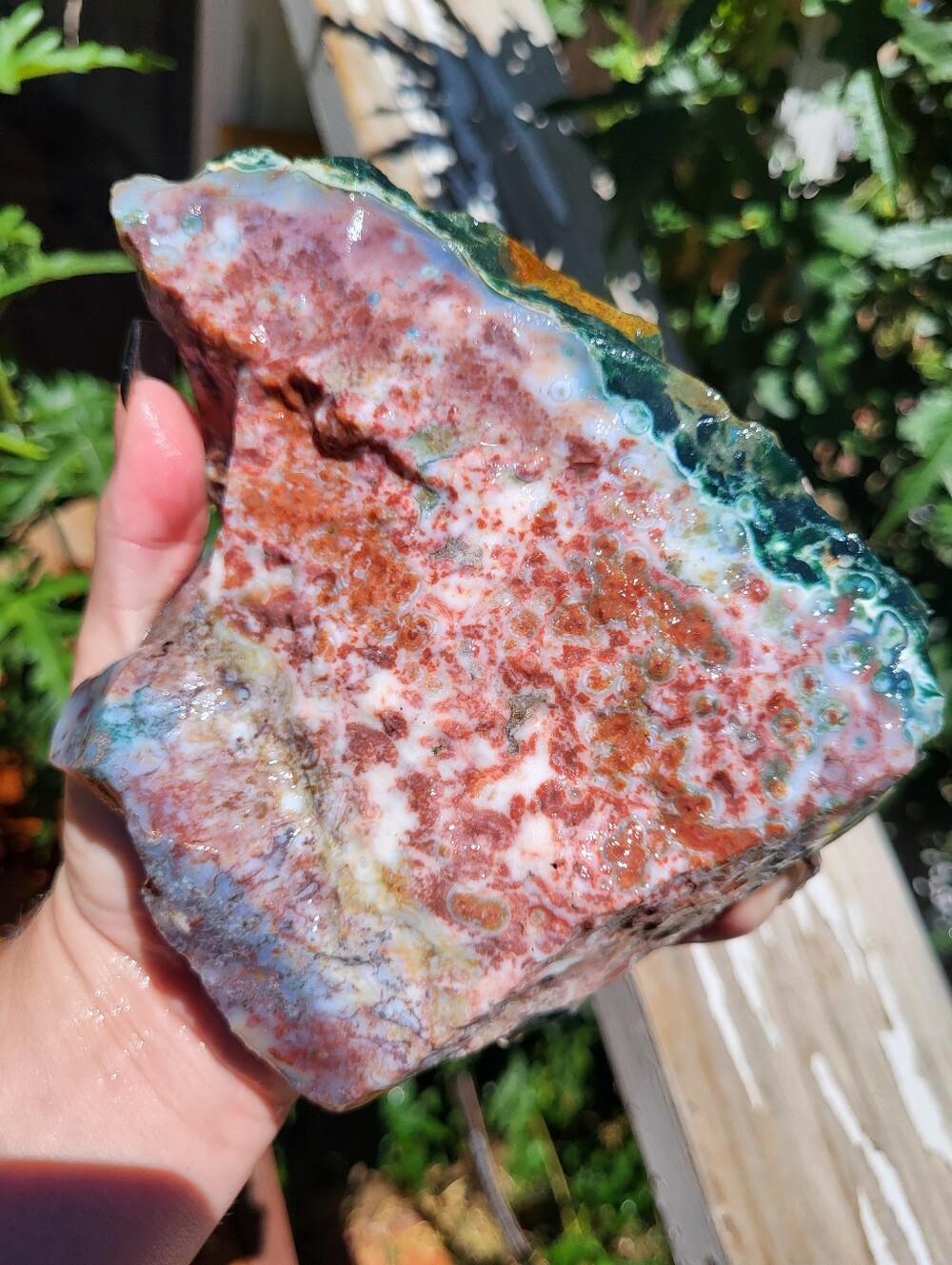 Big Vibrant Jasper Freeform AAA+++